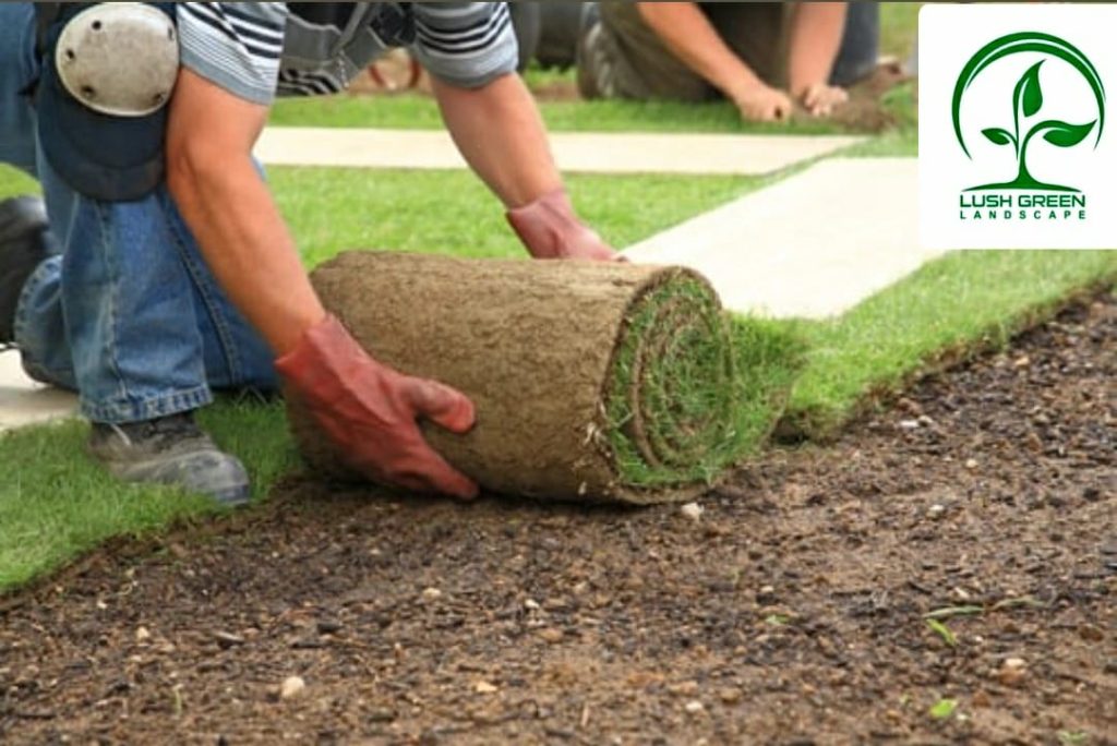 Natural turf installation